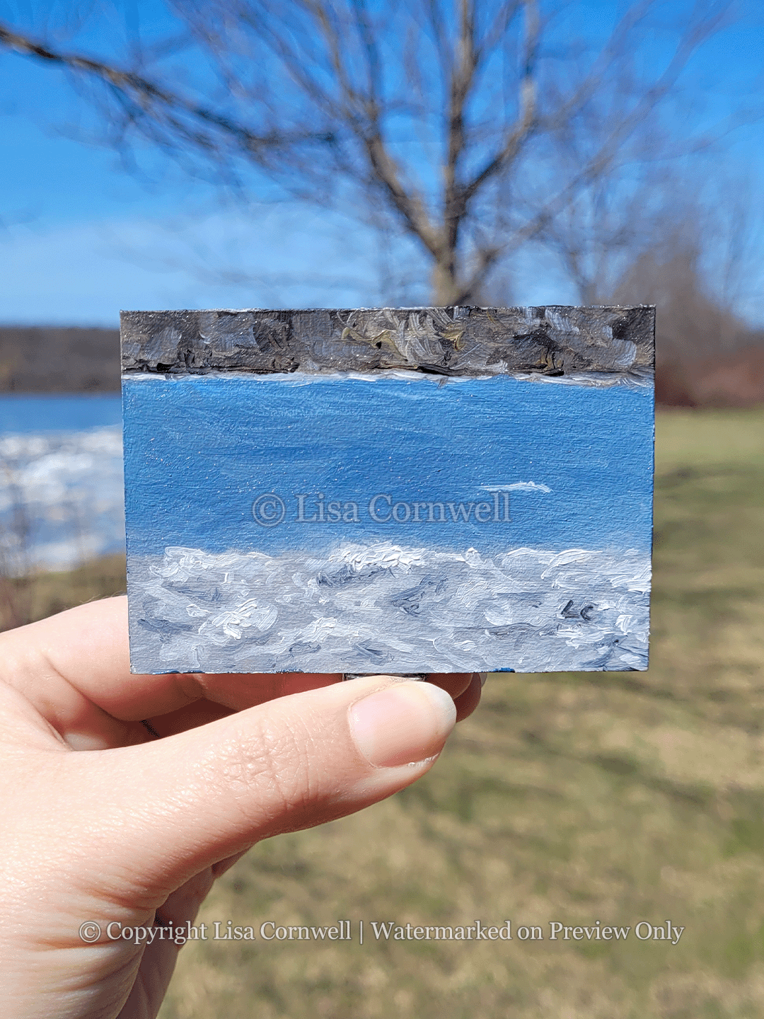 Lisa Cornwell Fine Art